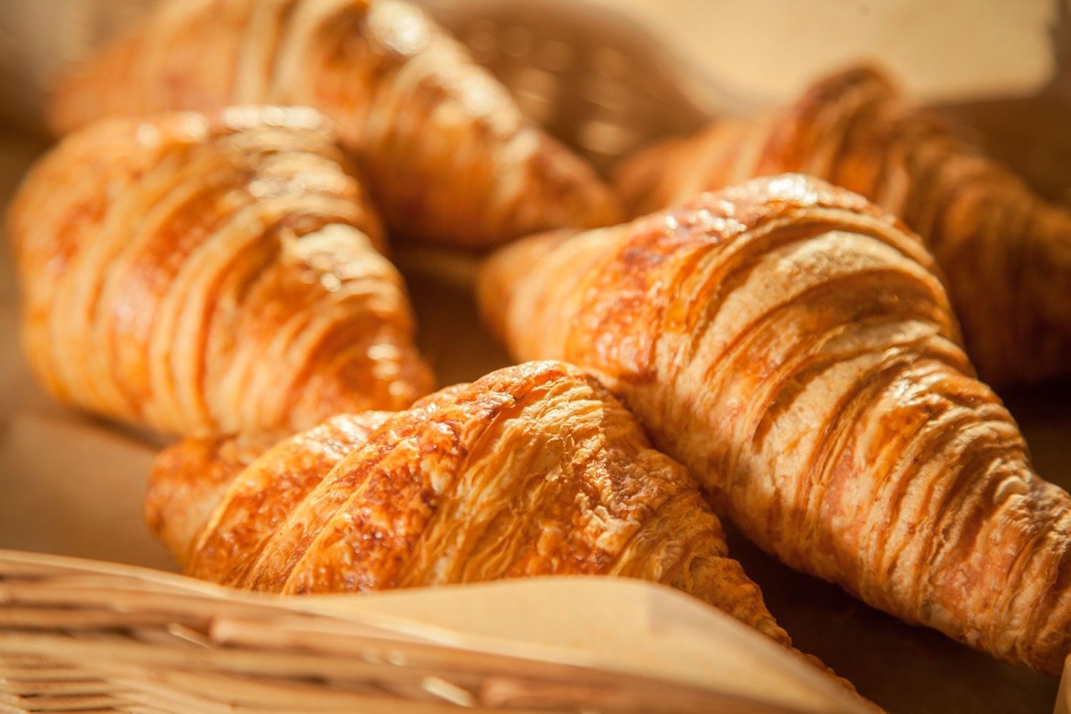 Croissant para Revenda Preço em Santo Amaro - Croissant para Revenda