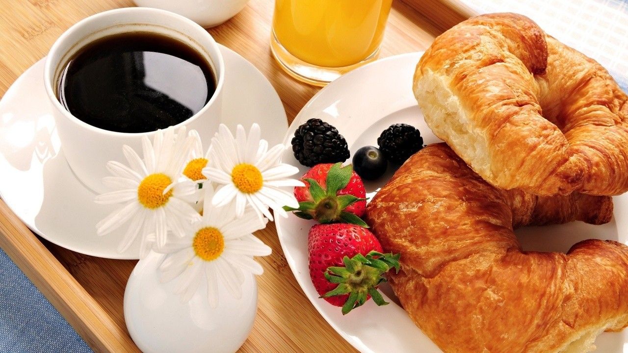 Mini Croissant Congelado Onde Comprar na Lapa - Croissants Congelados para Buffet